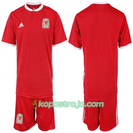 Billiga Fotbollströjor Wales Barn Hemma tröja 2018/19 Kortärmad